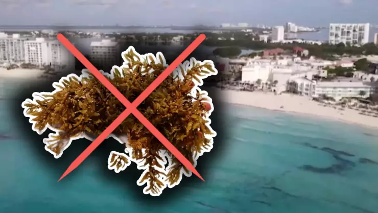 Playas sin sargazo en Cancún, Isla Mujeres, Holbox, Puerto Morelos, Playa del Carmen y Cozumel hoy 5 de septiembre de 2025