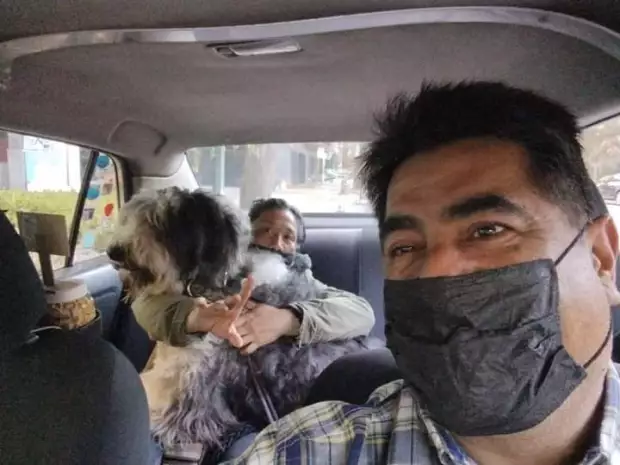 Un chofer y su taxi se viralizan por llevar mascotas en CDMX 1.jpeg