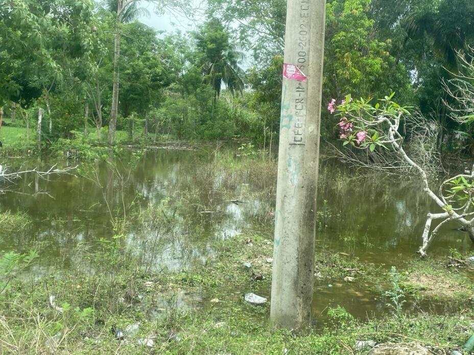 Realizan recorridos de vigilancia en la Ribera del Río Hondo