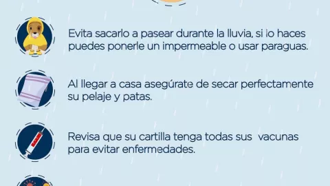 Tormenta Tropical Otis