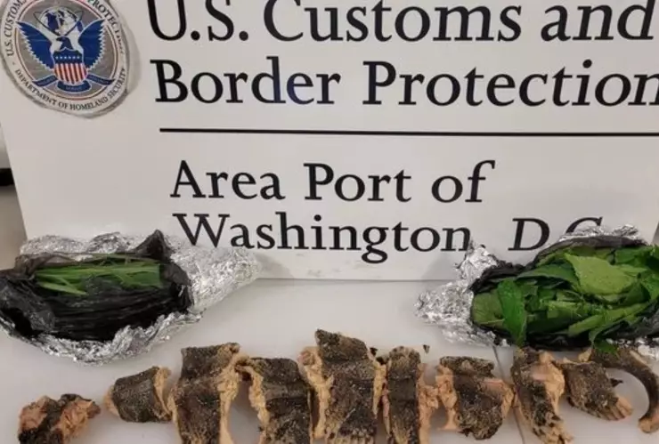 El contenido de la valija de un pasajero incautado por la CBP en la frontera