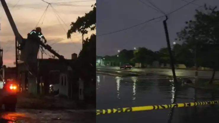 PORTADA fuertes lluvias en Mérida árboles.jpg
