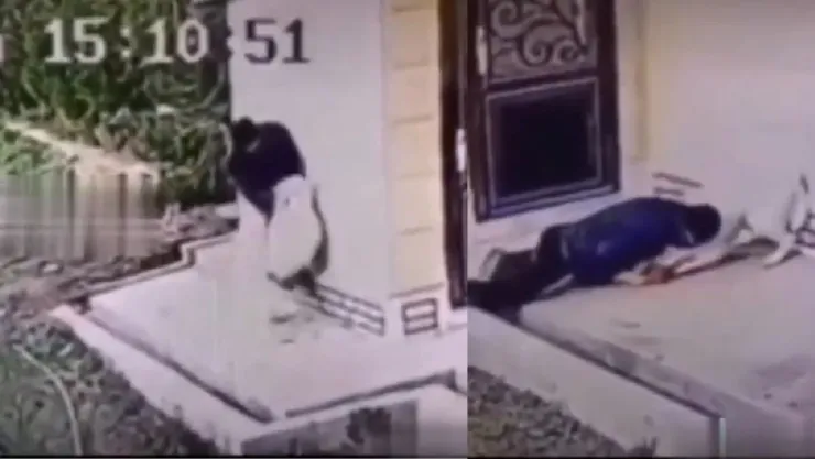 VIDEO: Captan hombre sometiendo a enorme perro tras ser ferozmente atacado