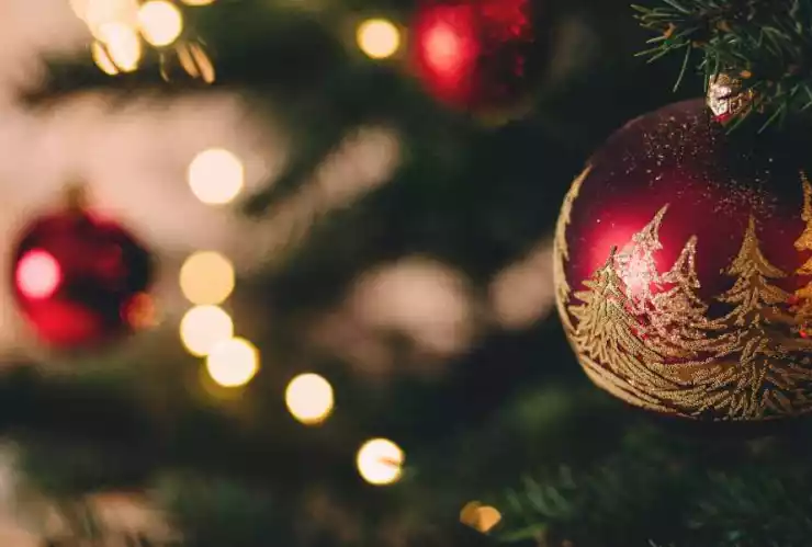 celebraciones navidad.jpg