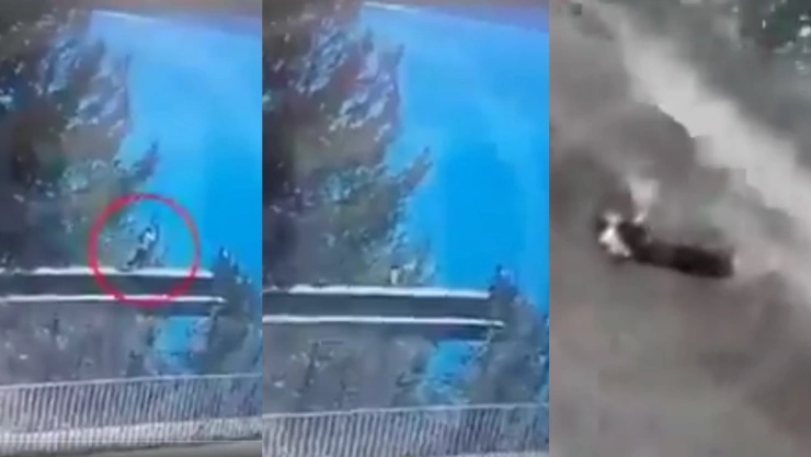 Muere influencer rusa por una selfie.jpg