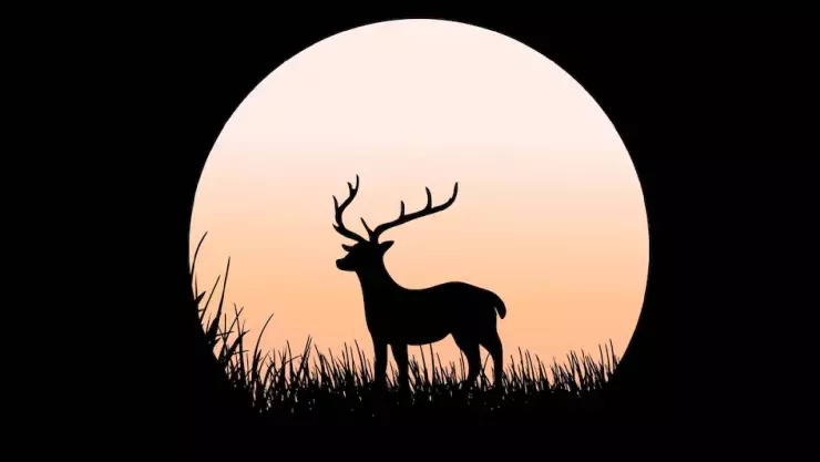 Luna de ciervo 2024_ Cuándo es, por qué su nombre y a que hora verlo en Cancún.jpg