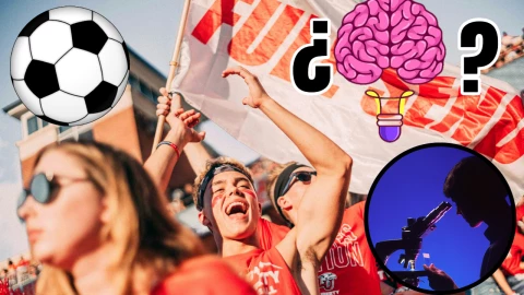 Este es el IQ promedio de las personas que les gusta el futbol, según la ciencia