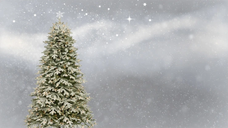 ¿Cuál es el origen del árbol de Navidad?
