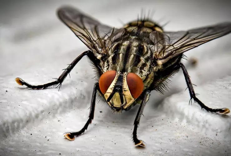 pexels-jerseypics-1046492 (1).jpg