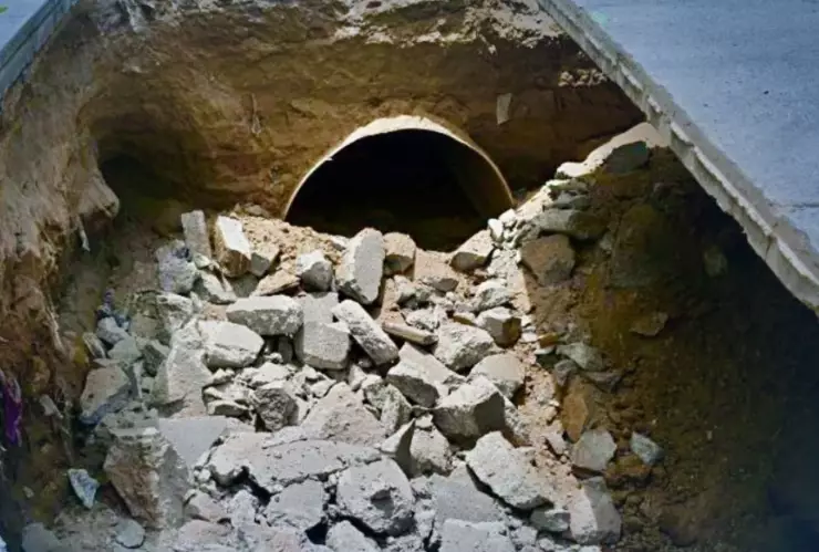 Más viejos que tu abuelito, estos son los colectores más antiguos del Área Metropolitana de Guadalajara