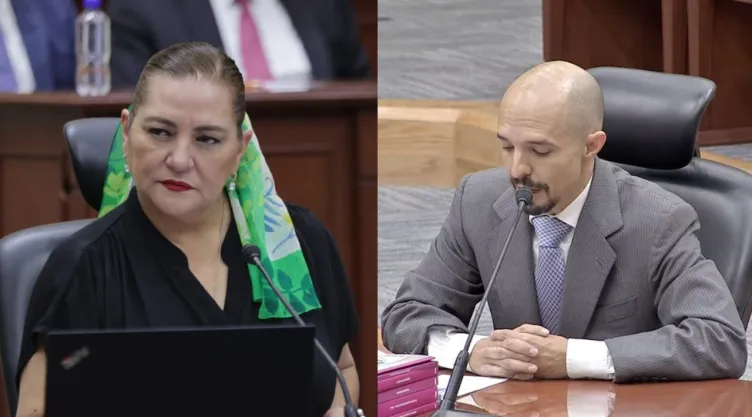 Guadalupe Taddei: Los delitos que enfrentaría la expresidenta del INE en prisión preventiva oficiosa.