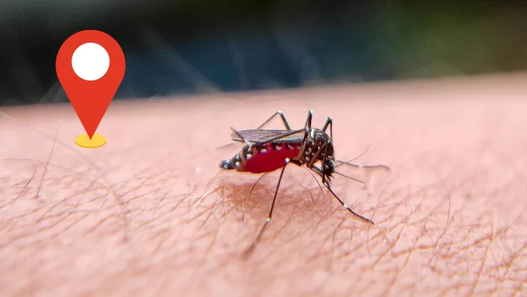 Dengue en Aguascalientes ¿Cuáles son las colonias con mayor número de casos de dengue 2024