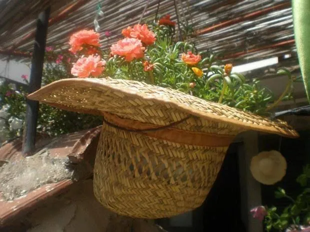 macetasombrero.jpg