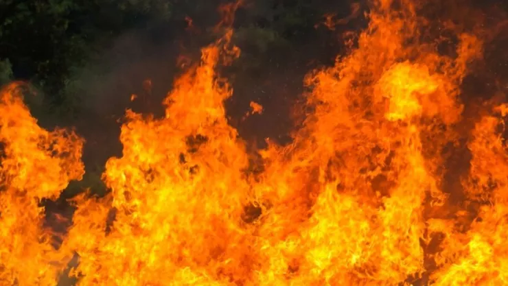 ¿Qué pasó en la colonia Altamira de Tijuana hoy jueves 17 de abril de 2025?