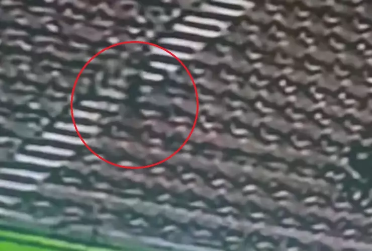 fantasma partido liga mx femenil estadio benito juárez video