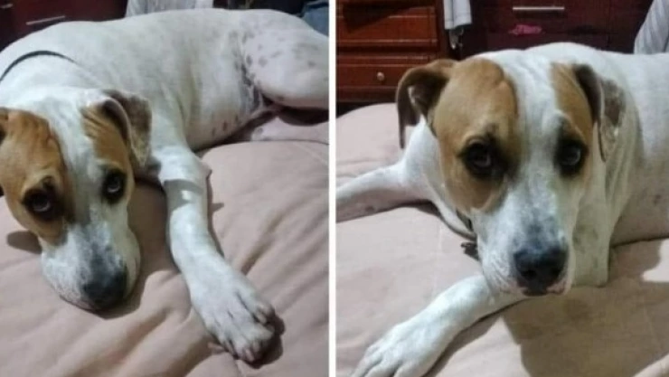 WhatsApp Image 2023-09-22 at 4.08.12 PM.jpeg