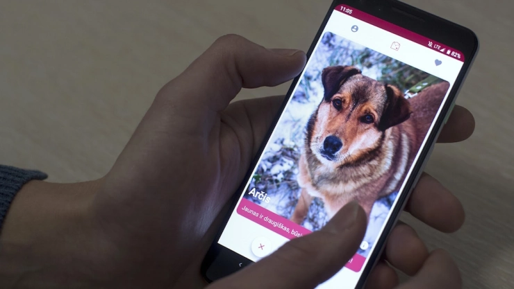 Aplicación similar a Tinder te permite encontrar al perro de tus sueños