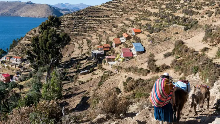 Amparo a rarámuris