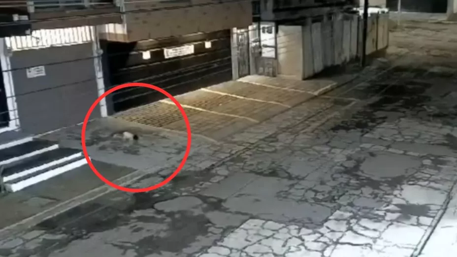 Cae bebé desde balcón en Puebla