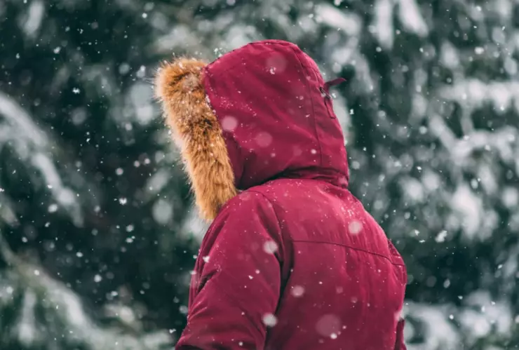 Portada - 2025-12-21T110741.224.png