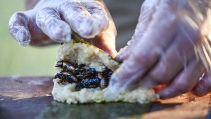 sushi_cigarras_chef.jpg