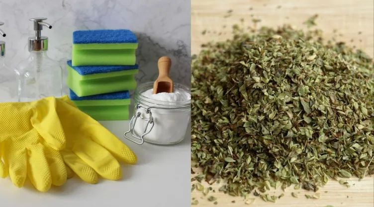 /estilo-de-vida/bicarbonato-con-oregano-para-que-sirve-por-que-recomiendan