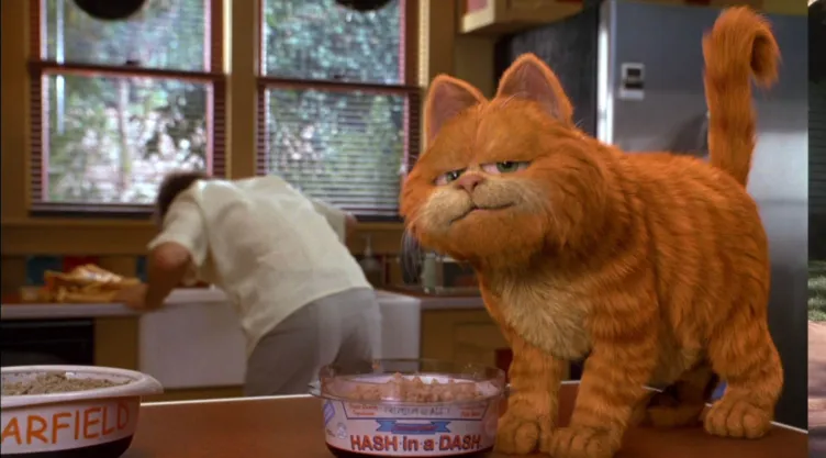 Curiosidades de Garfield