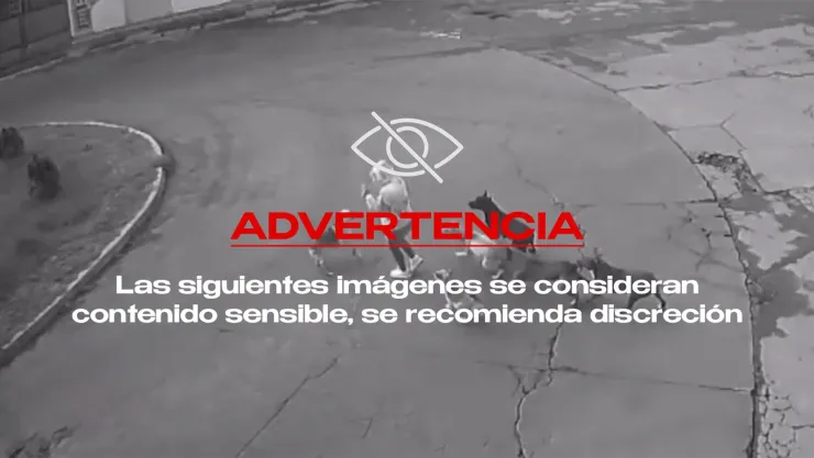 VIDEO ¡IMÁGENES FUERTES! Mujer es atacada por una jauría de perros en EDOMEX; así ocurrió