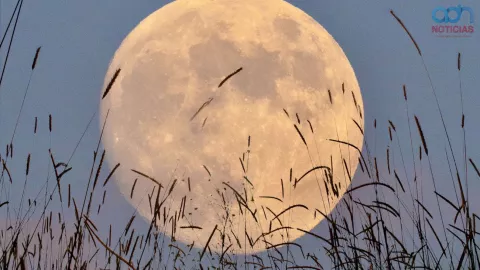 superluna de cosecha