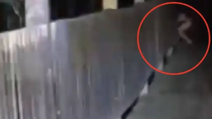 ¡PARANORMAL! Captan supuesto Nahual en la selva de Catemaco, Veracruz; el VIDEO aterra a las redes