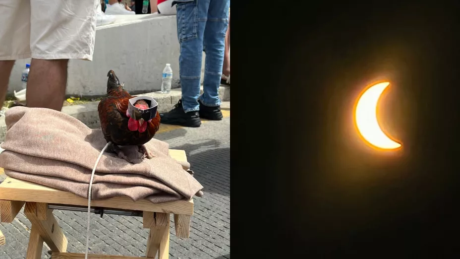 Eclipse solar en Mazatlán.