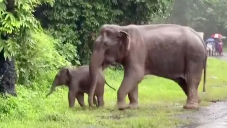 Texto del párrafo (3).jpg