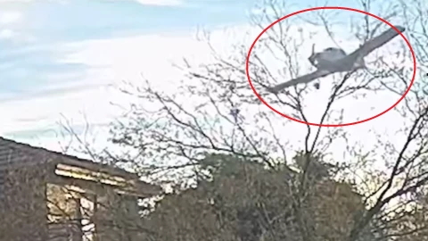 Accidente de avioneta captado en video