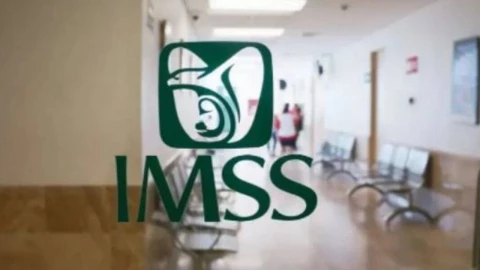 El Gobierno de México abrió el registro en línea para acceder a una credencial del IMSS-Bienestar.