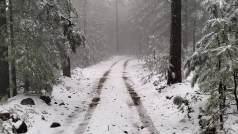 ¿En qué estado en México cayó la primera nevada de la temporada 2024-2025