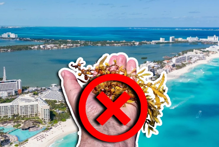 Estas son las playas sin sargazo en Quintana Roo HOY 28 de septiembre de 2025_ De Holbox, Cancún, Tulum a Xcalak.jpg