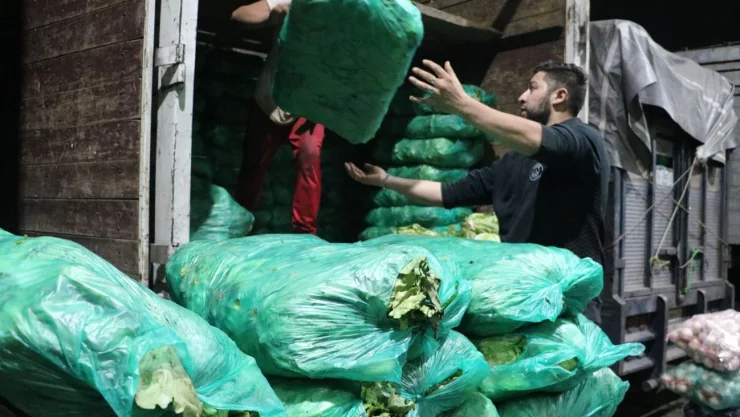 Central de Abasto CDMX