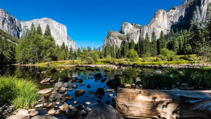 Yosemite Park National reclama que los turistas dejan el papel higiénico usado en el medio del paisaje