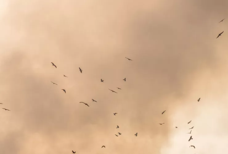 Calidad del aire en Torreón lunes 5 de mayo del 2025.jpg