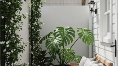 plantas1.png