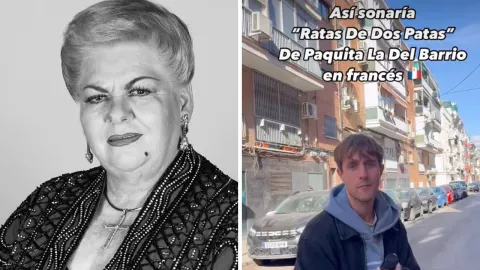 Rata de dos patas en francés