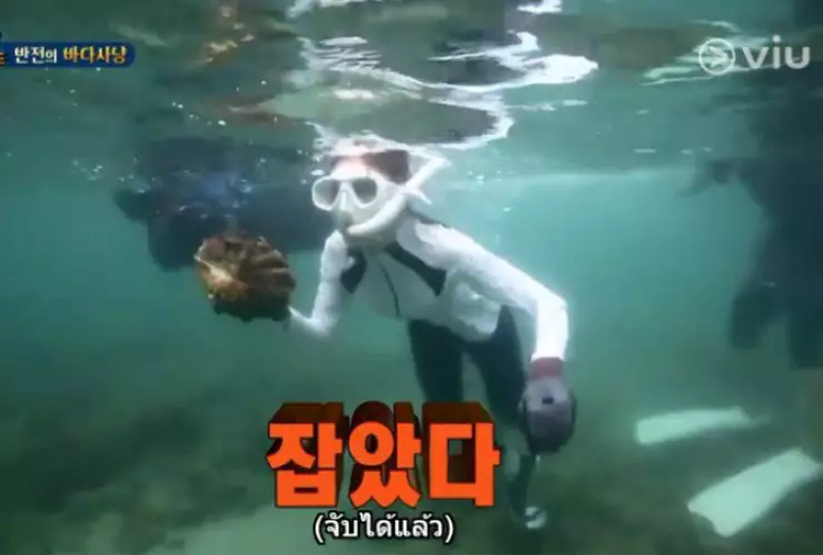 Almejas gigantes en Tailandia amenazadas por reality show