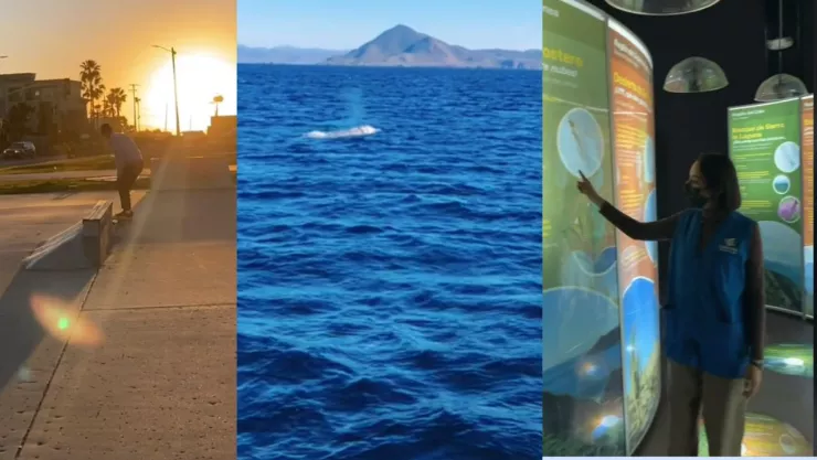 Qué hacer en Ensenada