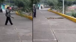 Cocodrilo Isla, Veracruz