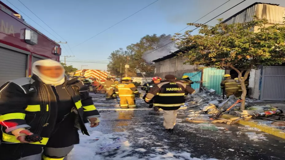 Marina incendios (1).jpg