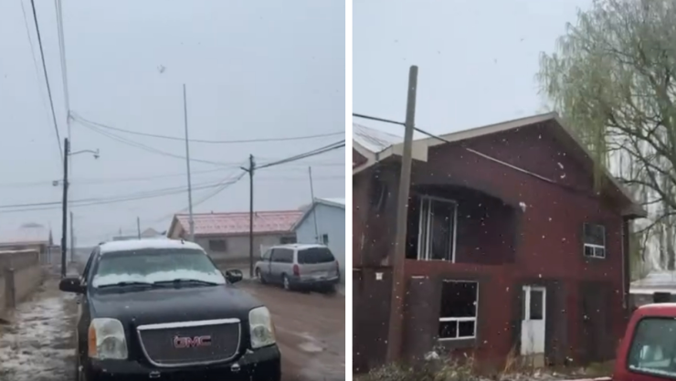 NEVADAS.jpg