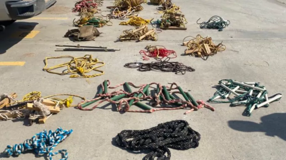 Encuentran escaleras para cruzar el muro fronterizo en Tijuana.