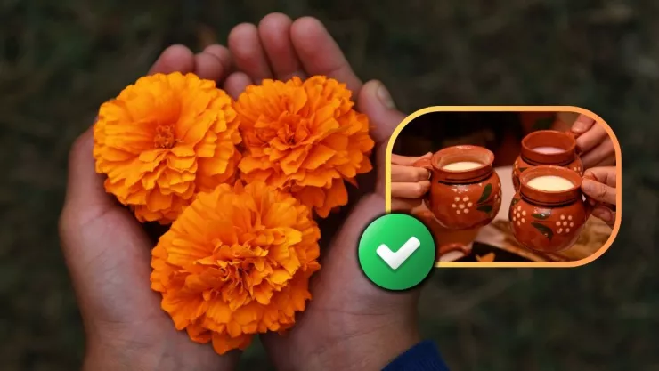 como-desinfectar-flores-cempasuchil-comestibles