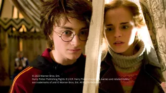 Harry Potter y Germione