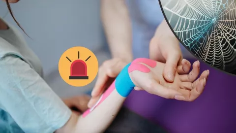 ¿Cuáles son los primeros auxilios para una picadura de araña violinista ¿Qué hacer si me pica una en Baja California?